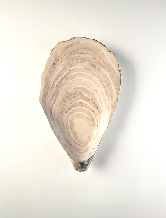 03 Oyster - Large