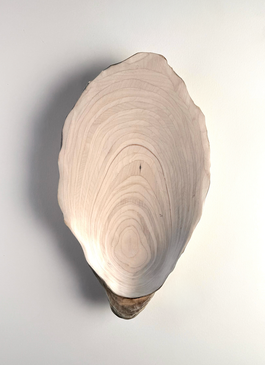 04 Oyster - Large