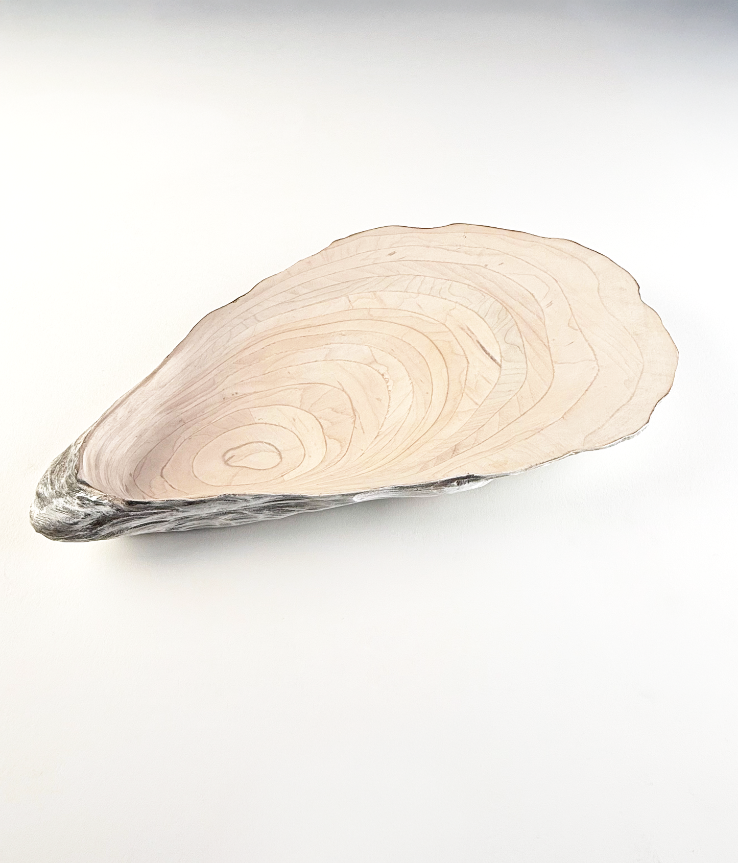 06 Oyster - Large