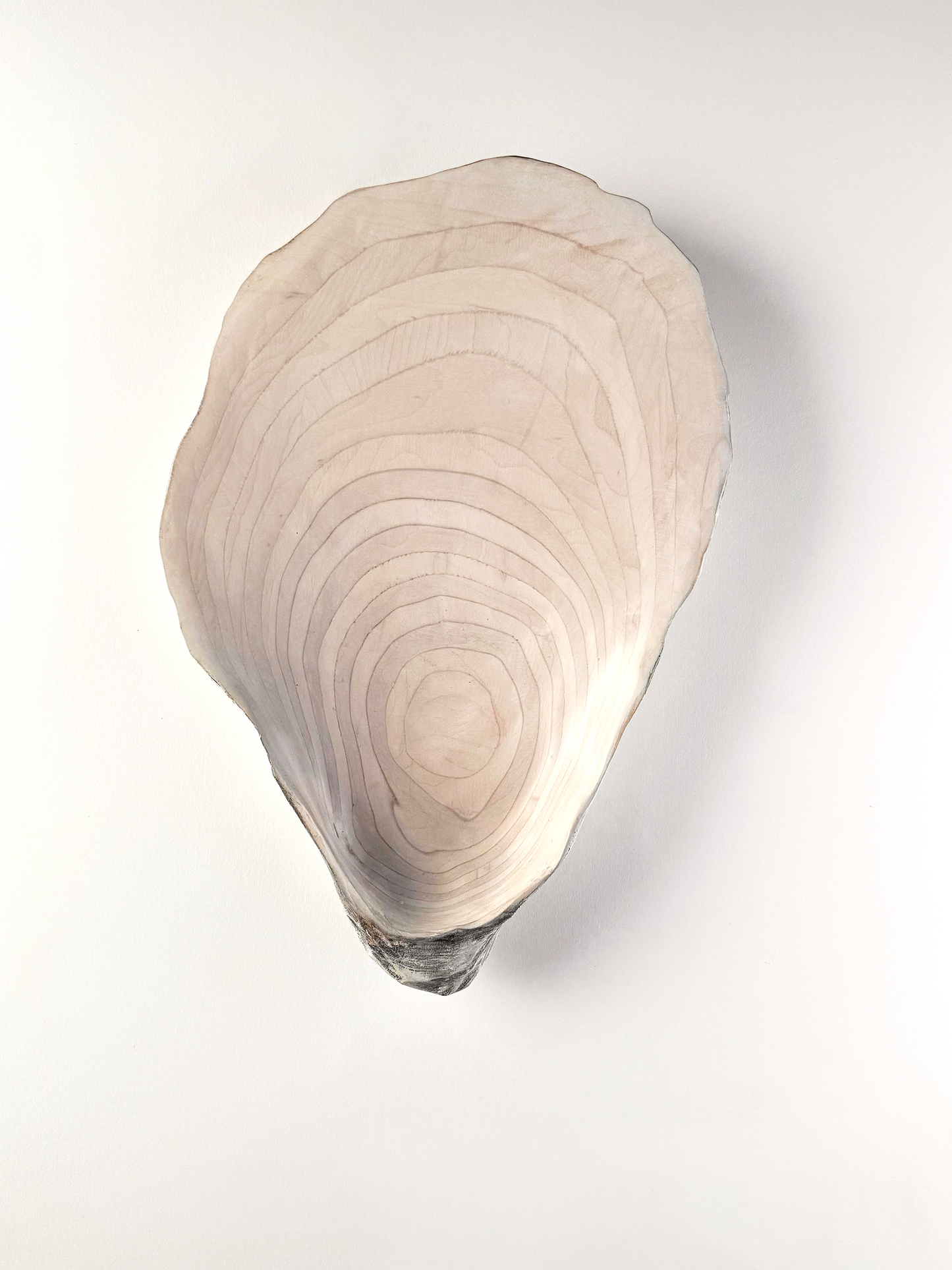 06 Oyster - Large