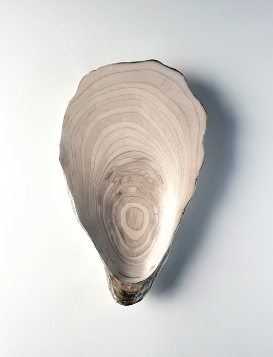 07 Oyster - Large