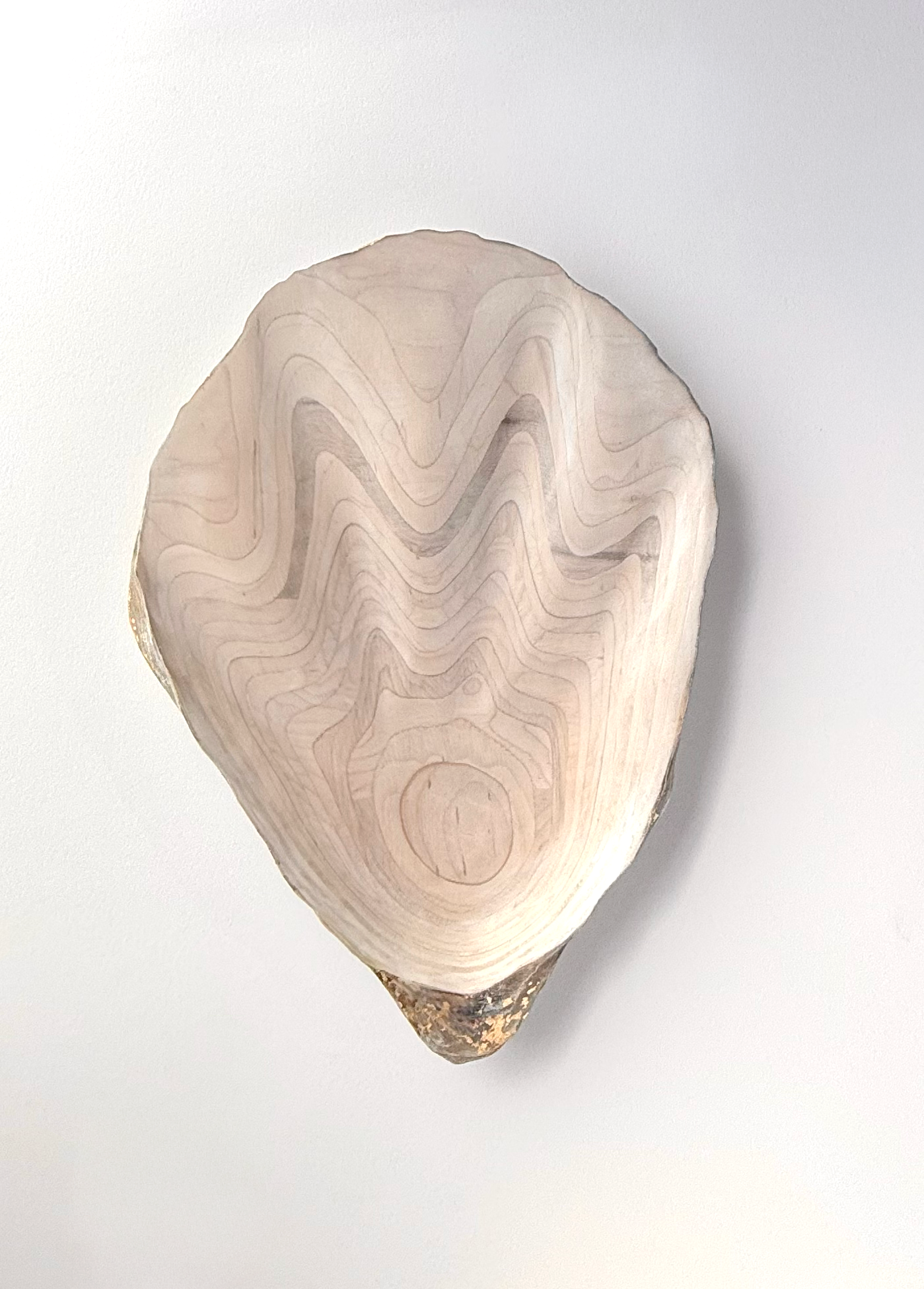 15 Oyster - Large