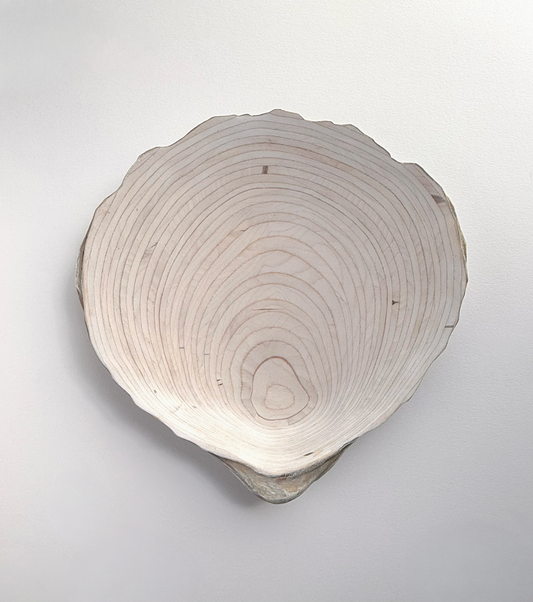 16 Oyster - Medium