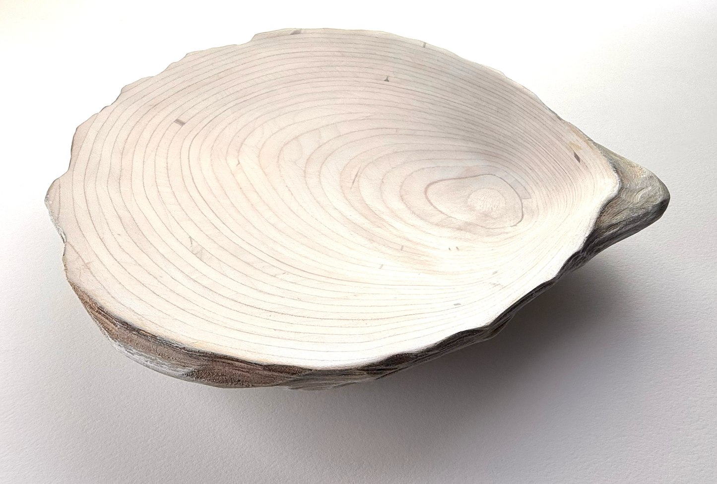 16 Oyster - Medium