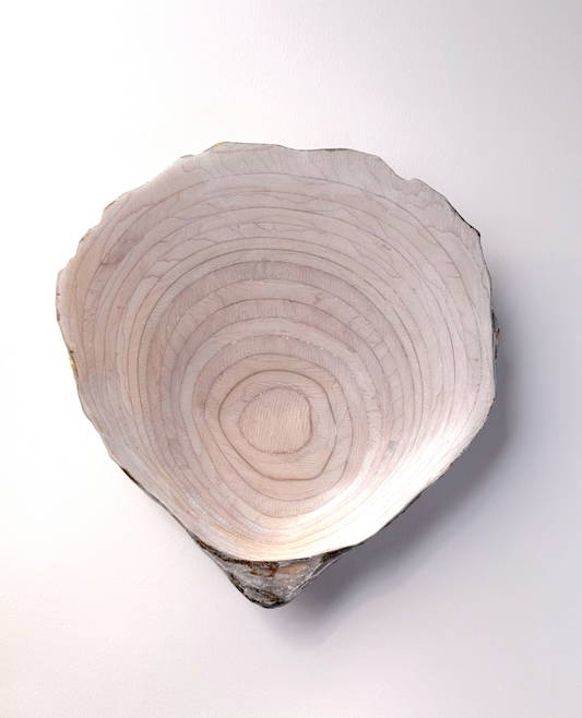 17 Oyster - Medium