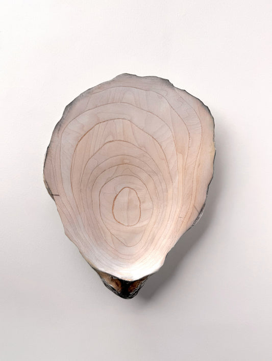 19 Oyster - Medium