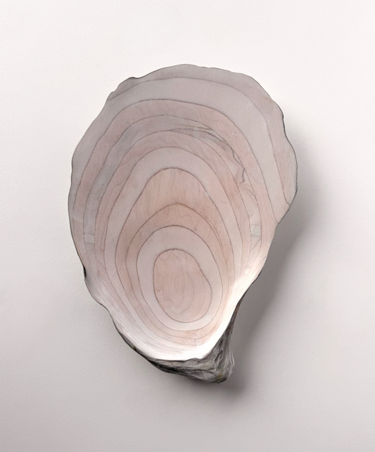 20 Oyster - Medium
