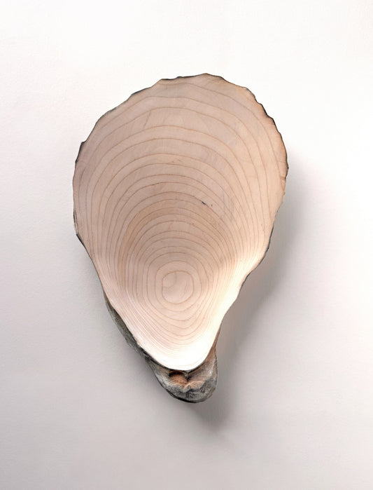 22 Oyster - Medium