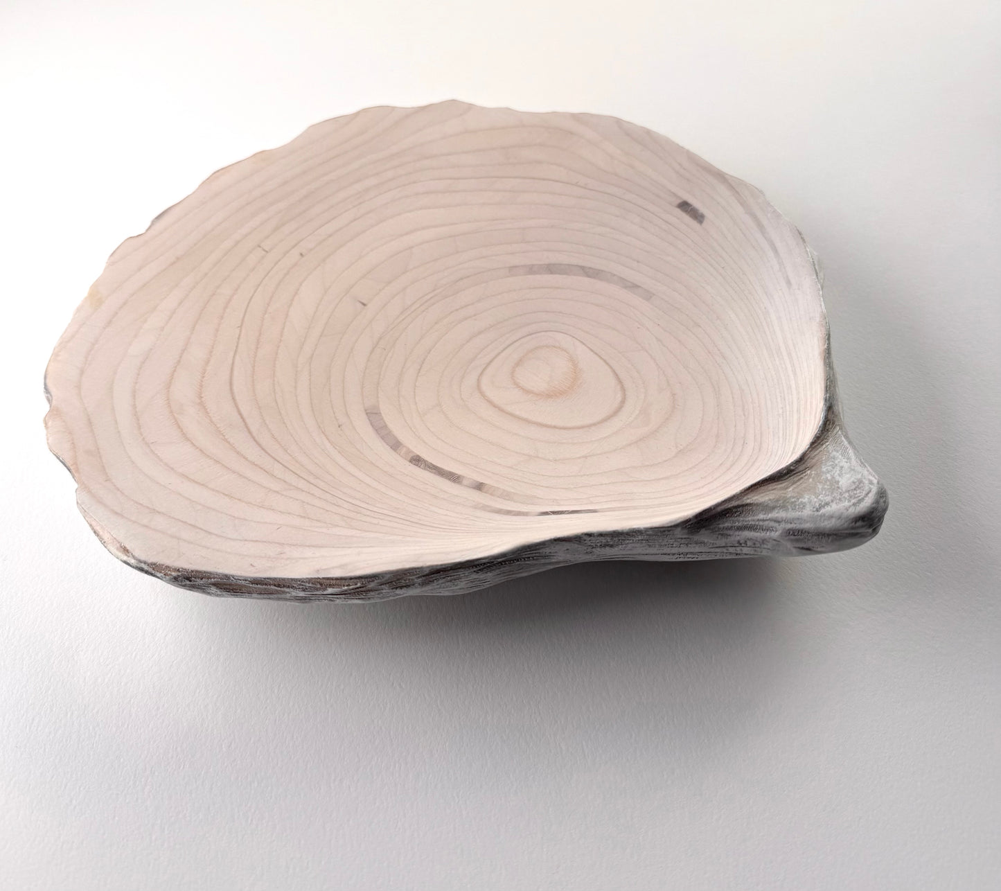 18 Oyster - Medium