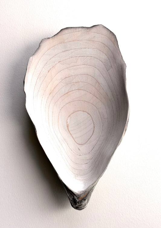 26 Oyster - Small