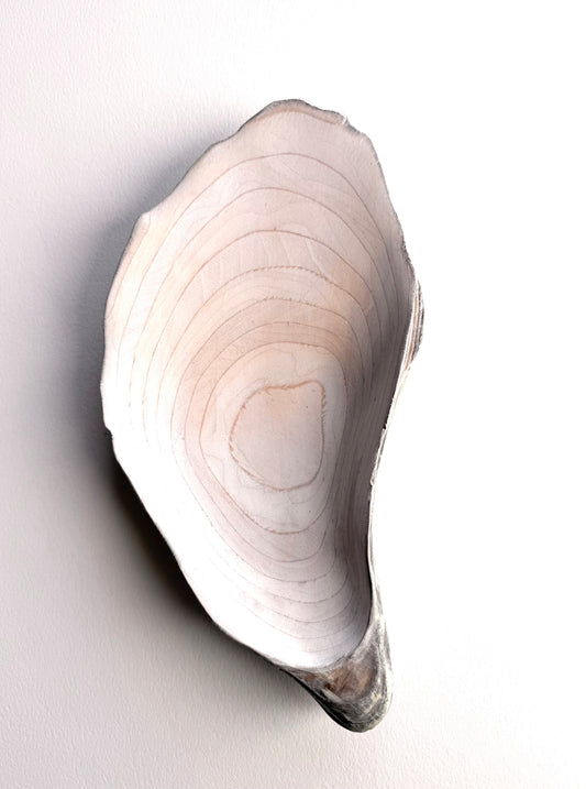 27 Oyster - Small