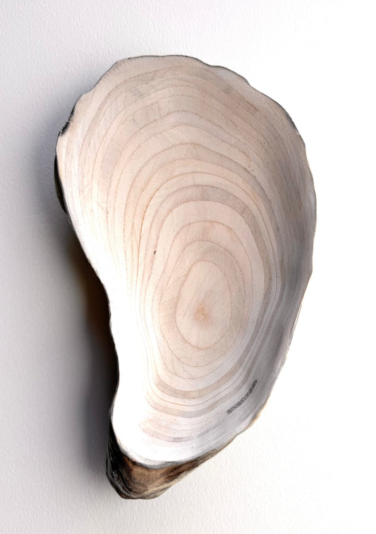 29 Oyster - Small