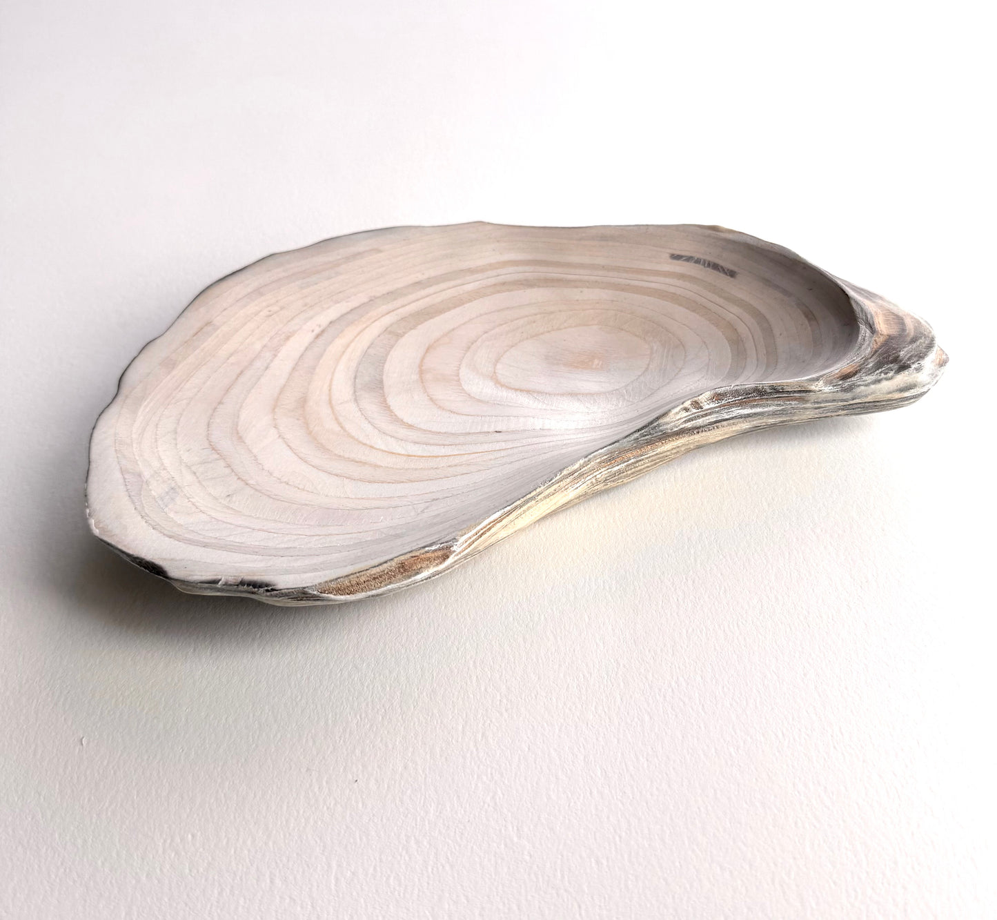 29 Oyster - Small