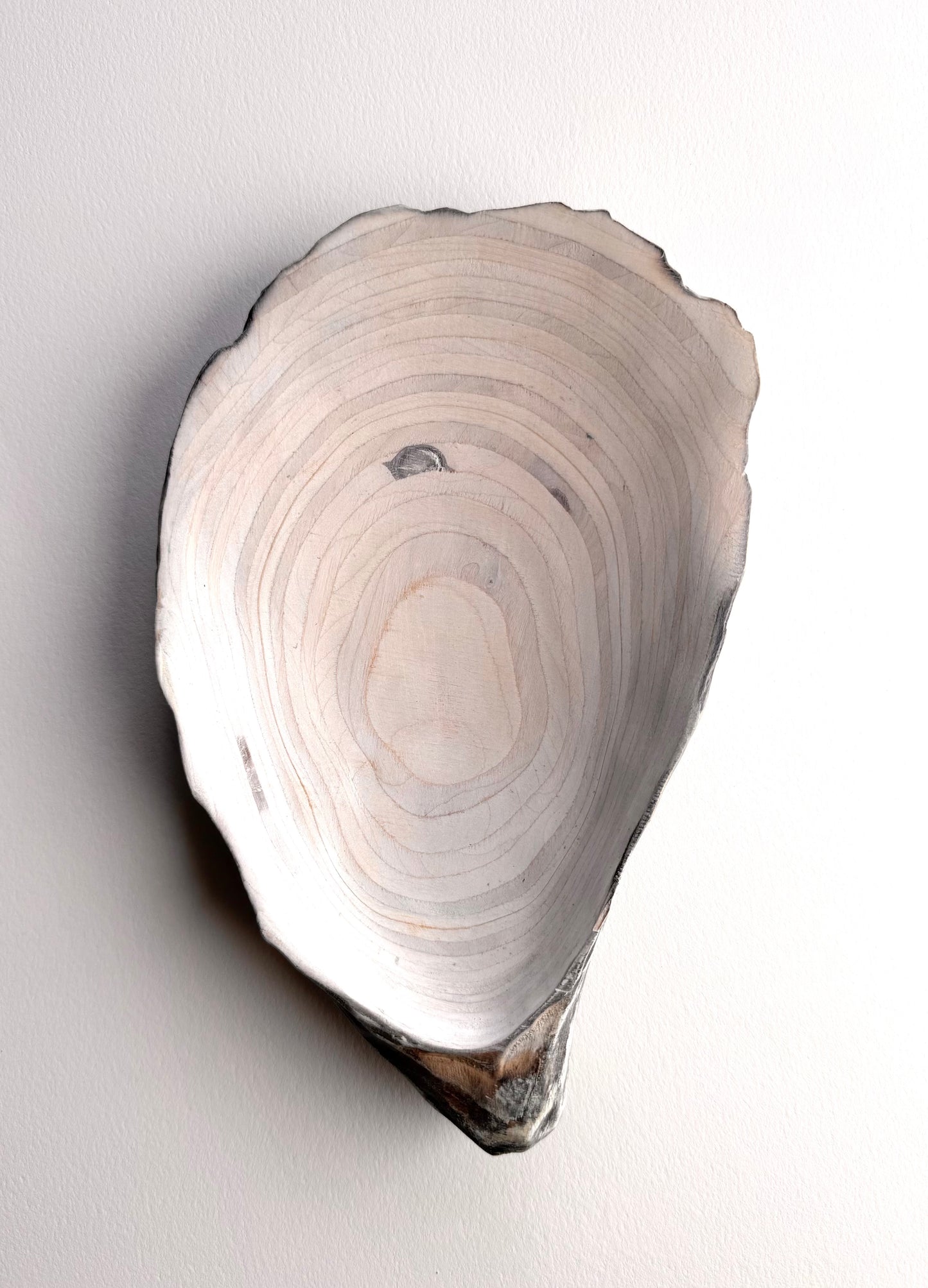 30 Oyster - Small