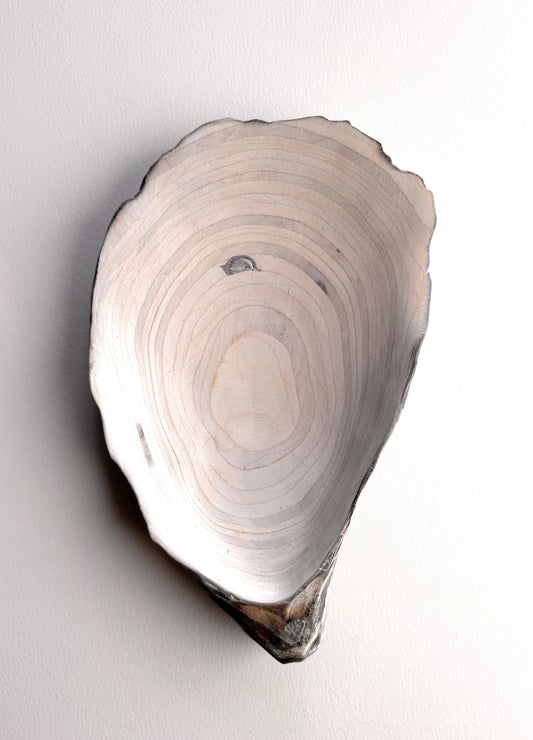 30 Oyster - Small