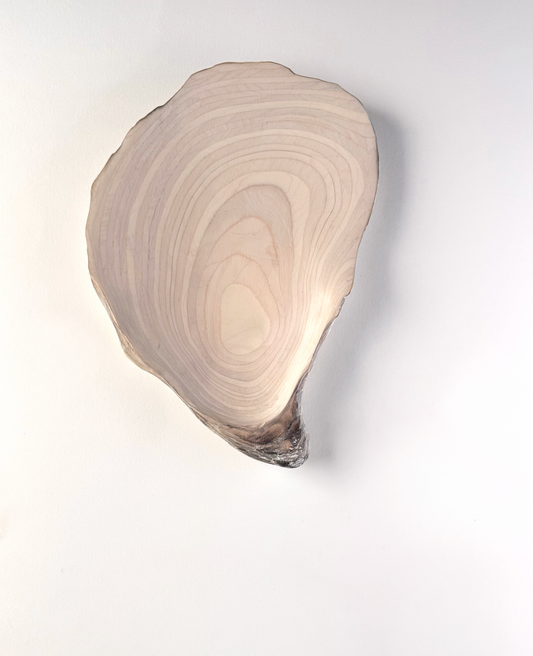 09 Oyster - Medium