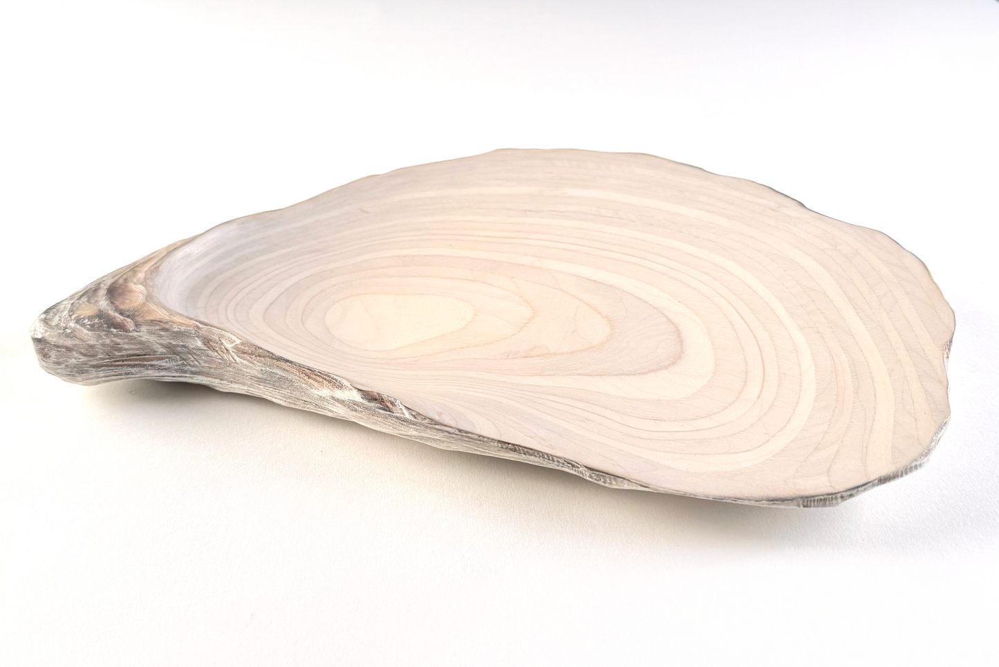 09 Oyster - Medium