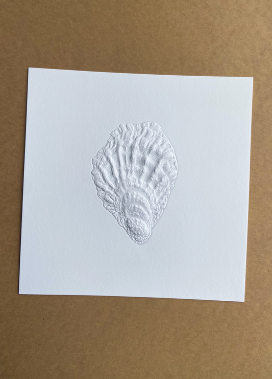 Embossed Oyster Print